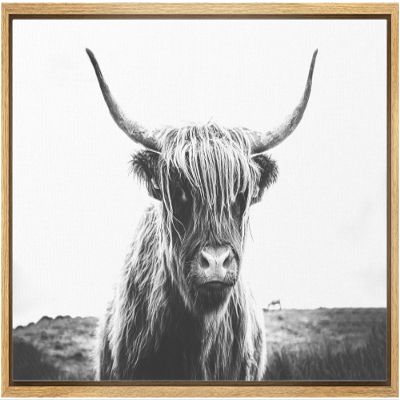 SIGNLEADER Framed Canvas Print Wall Art Closeup of Highland Cow Animals Wilderness Photography Realism Farmhouse Portrait Relax/Calm Black and White for Living Room, Bedroom, Office - 16"x24" Natural