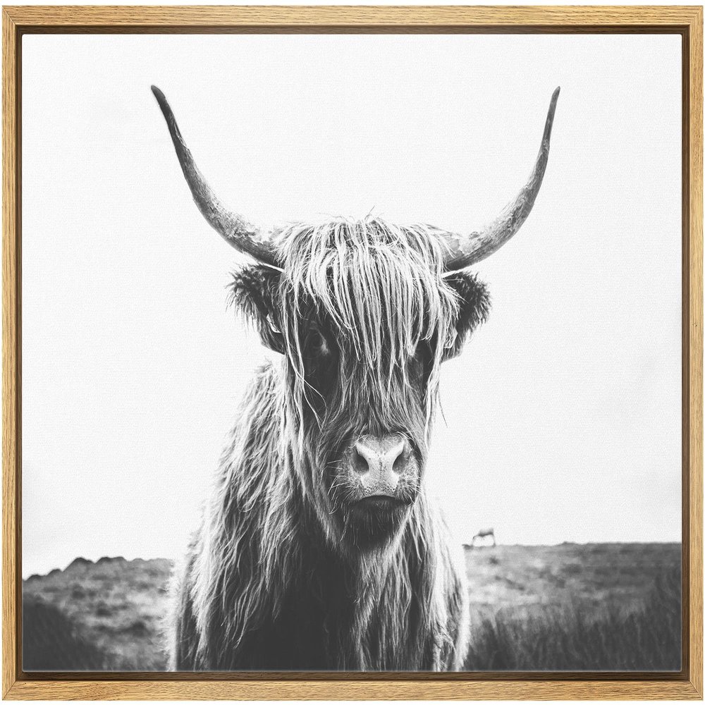 SIGNLEADER Framed Canvas Print Wall Art Closeup of Highland Cow Animals Wilderness Photography Realism Farmhouse Portrait Relax/Calm Black and White for Living Room, Bedroom, Office - 16"x24" Natural
