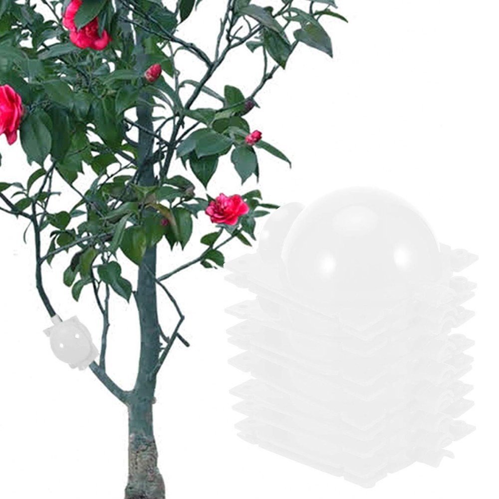 Alvinlite Plant Rooting Device Plant Root Growing Box High-Pressure Propagation Root Ball for Various Plants(Transparent)