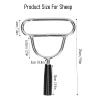 Professional Veterinary Mouth Opener, Stainless Steel Animal Mouth Gag for Cattle Horse Sheep, Gastric Lavage Tool for Livestock Breeding view 2