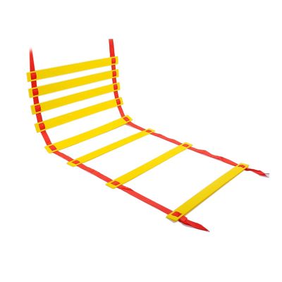 Agility Ladder Agility Speed Ladder, Football Flexibility Training Jumping Ladder,Speed Training Equipment, for Kids Adults Outdoor Training (Size:6M)