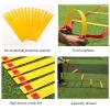Agility Ladder Multifunctional Training Jump Ladder,Flexibility Fitness Jumping Ladder Footwork Sport Equipment, for Personal Training(Size:6M) view 3