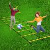 Agility Ladder Adjustable Double Row Agility Ladder,Speed Training Equipment,Football Flexibility Training Jumping,for Outdoor Athletic Footwork, Sports Drills(Size:3M) view 4
