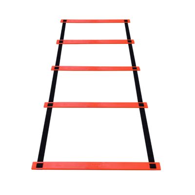 Agility Ladder Multifunction Agility Ladder Speed Ladder, Football Flexibility Training Jumping Ladder, Exercise Trainer Kit,for Kids Adults Speed Training(Size:6M)