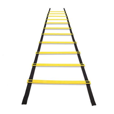 Agility Ladder Adjustable Agility Ladder, Flexibility Speed Training Ladder, Fitness Jumping Ladder Footwork Sport Equipment, with Carry Bag(Size:3M)