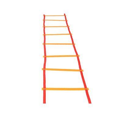 Agility Ladder Agility Ladder Speed Ladder,Football Flexibility Training Jumping Ladder,Personal Training,for Sports Training and Soccer Football Tennis Baseball Drills(Size:6M)