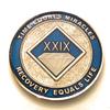 29 Year NA Blue & Gold Diamond Style Recovery, Clean, Medallion, Chip, Coin, Token view 1