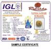 14 Mukhi Rudraksha Pendant from Java (Indonesia) 12mm-14mm Small Size IGL Lab Certified Original Geniune 100% Natural. view 2
