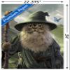 Trends International Vincent HIE - Catdalf Wall Poster, 34L x 22.4W, Premium Unframed Version view 3