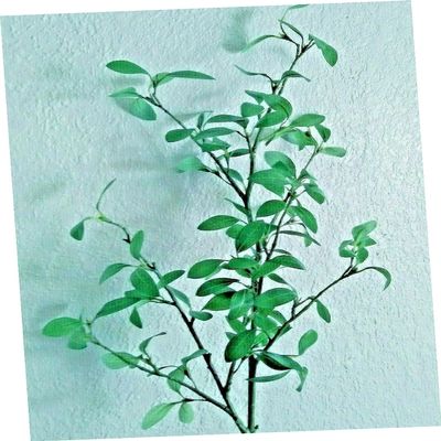 41" Privet Stem Branches Line Material Silk Flower Floral Arrangements Realistic Craft Art Decor Plant for Indoor Outdoor Decoration