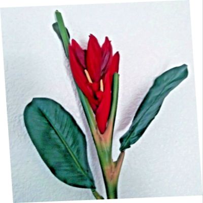 41" Artificial Banana Blossom Stem Tropical Flowers Red Realistic Craft Art Decor Plant for Indoor Outdoor Decoration