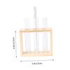 Hydroponic Plants Pot Glass Planter Wall-Mounted Tube Flower Vase Glass Tube Hanging Plant view 2