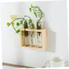 Hydroponic Plants Pot Glass Planter Wall-Mounted Tube Flower Vase Glass Tube Hanging Plant view 4