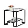 Accent Glass Coffee Table Side Table, Square 22" End Table with Glass-Top Lower Storage Shelf Metal Frame Protective Foot Pads, Modern Geometric-Inspired for Living Room, Dining Room, Office view 1