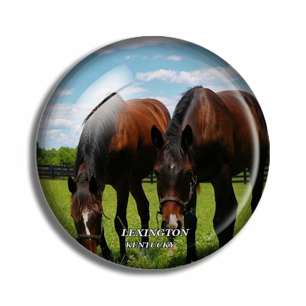 Crystal Fridge Magnets Lexington Kentucky USA Travel Souvenir Funny Sticker for Gift Home Decoration Office Whiteboard