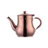 QIBOORUN Teapot with Infuser Loose Tea Leaf 17oz, Stainless Steel Tea Pot Coffee Water Small Kettle Filter Set-Rose Gold view 1