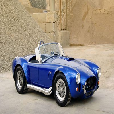 Palmetto Posters 24x36 Poster: Ford Shelby Cobra 427 1963 CSX 4000 101548