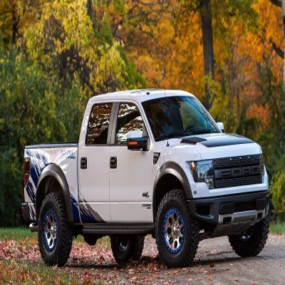 Palmetto Posters 24x36 Poster: Ford f150 Ford Vehicle 184289