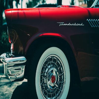 Palmetto Posters 24x36 Poster: Ford Thunderbird Ford Bumper 124819