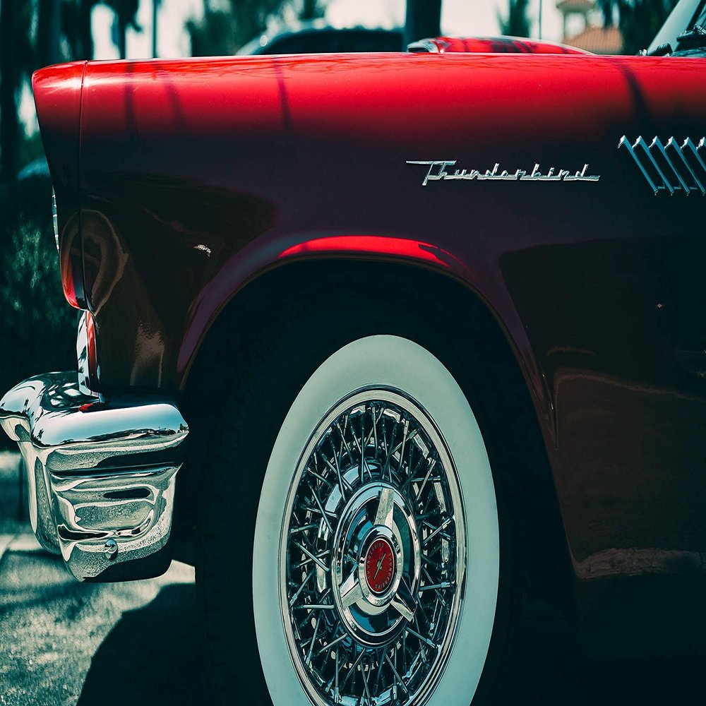 Palmetto Posters 24x36 Poster: Ford Thunderbird Ford Bumper 124819