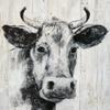 ArtExpert Howdy Neighbor I by Nan - 16x16 Art Print Poster view 1