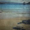 ArtExpert Drift Wood 2 by Sheldon Lewis - 16x16 Art Print Poster view 1