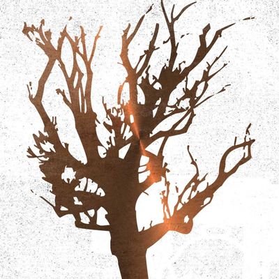ArtExpert Tree Of Wisdom 3 by Sheldon Lewis - 16x16 Art Print Poster