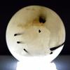 64mm Black Tourmaline in Quartz Sphere Natural Tourmalated Quartz Crystal Ball Sparkling Mineral Polished Stone - India + Stand view 4