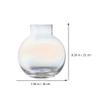1pc Creative Glass Flower Vase for Hydroponic Arrangements Transparent Decorative Desktop Container for Home and Wedding Centerpieces for Flower Vessel Decor view 2