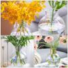 1pc Decorative Glass Flower Vase for Hydroponic Arrangements Transparent Desktop Centerpiece for Home Weddings and Parties Stylish Flower Vessel and Ornament view 3