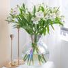 1pc Decorative Glass Flower Vase for Hydroponic Arrangements Transparent Desktop Centerpiece for Home Weddings and Parties Stylish Flower Vessel and Ornament view 4
