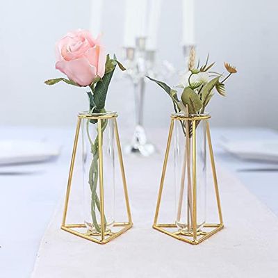 2 Pack Gold Geometric Metal Flower Vase Racks Plant Holders, 6" Triangular Flask Style Glass Test Tube Vases for Home Garden Wedding Decoration