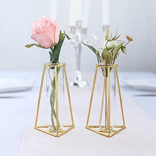 2 Pack Gold Geometric Metal Flower Vase Racks Plant Holders, 6" Triangular Flask Style Glass Test Tube Vases for Home Garden Wedding Decoration