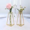 2 Pack Gold Geometric Metal Flower Vase Racks Plant Holders, 6" Triangular Flask Style Glass Test Tube Vases for Home Garden Wedding Decoration view 1