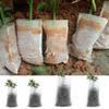 jweemax 100PCS Plant Grow Bags, Non-Woven Plant Nursery Bags Fabric Seedling Pots for Garden view 4