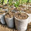 jweemax 100PCS Plant Grow Bags, Non-Woven Plant Nursery Bags Fabric Seedling Pots for Garden view 4