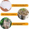 jweemax 100PCS Plant Grow Bags, Non-Woven Plant Nursery Bags Fabric Seedling Pots for Garden view 3