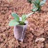 jweemax 100PCS Plant Grow Bags, Non-Woven Plant Nursery Bags Fabric Seedling Pots for Garden view 3