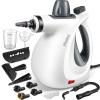 Pressurized Handheld Multi-Surface Natural Steam Cleaner with 12 pcs Accessories, Multi-Purpose Steamer for Home Use, Steamer for Cleaning Floor, Upholstery, Grout and Car (Grey) view 1