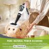 Pressurized Handheld Multi-Surface Natural Steam Cleaner with 12 pcs Accessories, Multi-Purpose Steamer for Home Use, Steamer for Cleaning Floor, Upholstery, Grout and Car (Grey) view 3