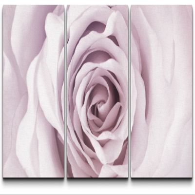 SIGNLEADER Canvas Print Wall Art Set Soft Purple Interior of Rose Botanical Flower Photography Realism Contemporary Closeup Edgy Multicolor Pastel for Living Room, Bedroom, Office - 24"x36" x 3