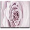 SIGNLEADER Canvas Print Wall Art Set Soft Purple Interior of Rose Botanical Flower Photography Realism Contemporary Closeup Edgy Multicolor Pastel for Living Room, Bedroom, Office - 24"x36" x 3 view 1