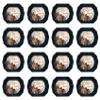 Beistle Fall Thanksgiving Dessert Plates 16 Pack Navy Border Plates with Gold Foil Gather Together Design, Pumpkin and Foliage Print for Autumn Gatherings and Holiday Table Settings, 6" x 7" view 1