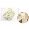 20 PCS Flower Wall Decor, 3D Flower Wall Panel Silk Flowers for Wedding Backdrop, Bridal Shower, Event, Baby Girls Room, Nursery, Home Decor, White Flowers Wall Decor (White Rose Premium Silk Flowers) view 2