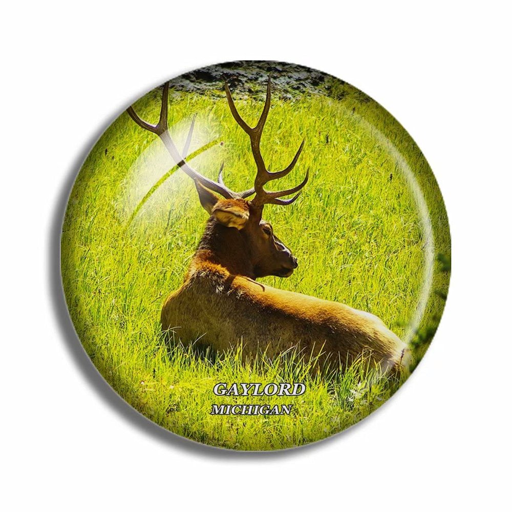 Crystal Fridge Magnets Gaylord Michigan USA Travel Souvenir Funny Sticker for Gift Home Decoration Office Whiteboard