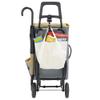 REP Cocoro 438961 Shopping Cart, Cart Chair, Gray, 14.6 gal (40 L), Includes Chair, Luggage Hook, Foldable, Plastic Bottle Storage, Insulated, Insulated, Eco Bag, Shopping, Stylish, Cute, Simple, view 3
