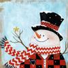 ArtExpert Dapper Snowman Ii by Tava Studios - 16x16 Art Print Poster view 1
