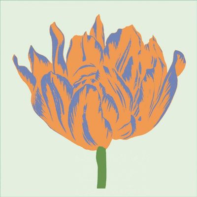ArtExpert Soho Tulip Iii by Zachary Alexander - 16x16 Art Print Poster