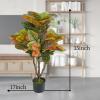 2PCS Artificial Croton Plant, Faux Fiddle Leaf fig Tree,Artificial Trees for Home Decor,Floor Plant,Front Porch Plants with Plastic Pot, Faux Ficus Lyrata Tree,35inch view 2