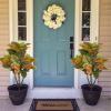 2PCS Artificial Croton Plant, Faux Fiddle Leaf fig Tree,Artificial Trees for Home Decor,Floor Plant,Front Porch Plants with Plastic Pot, Faux Ficus Lyrata Tree,35inch view 3